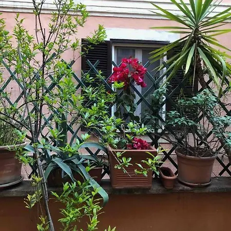 Apartament Centro Storico Con Terrazza *