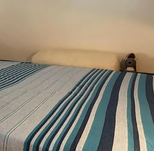 Centro Storico Con Terrazza Daire Roma