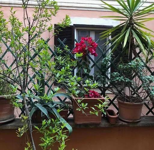 Daire Centro Storico Con Terrazza *